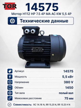 14575_8