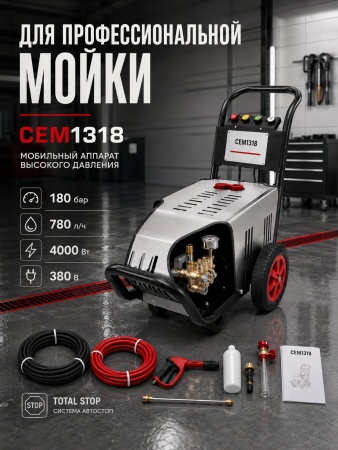 CEM1318_17