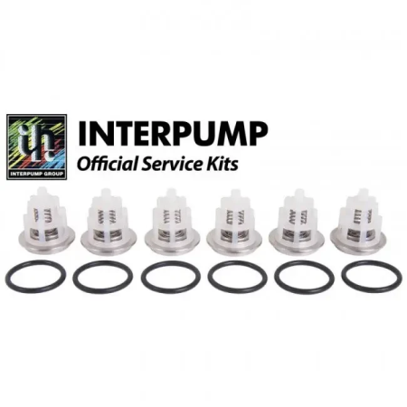 34016901 KIT 169 Рем.комплект клапанов. Для помп W2030, W2141, W1550