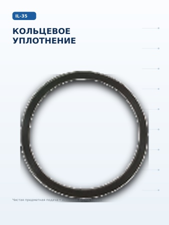 IL-35_10