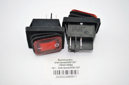 Выключатель электрика00091257 CElN016RB4